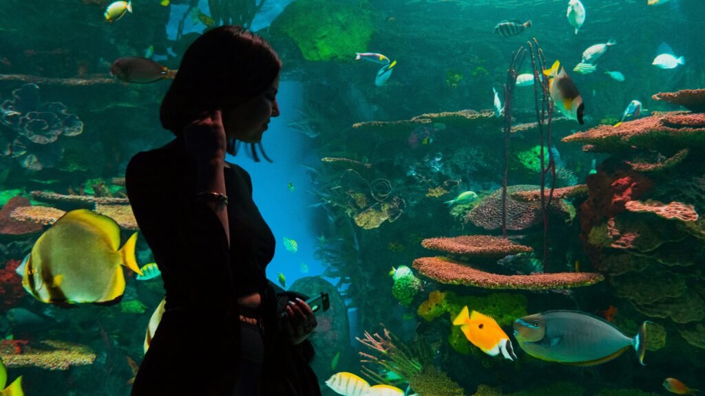 Discover Marine Life at Downtown Aquarium – A Complete Visitor’s Guide