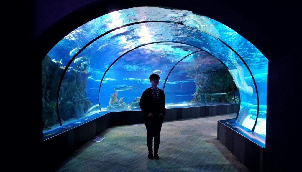 Discover Marine Life at Downtown Aquarium – A Complete Visitor’s Guide