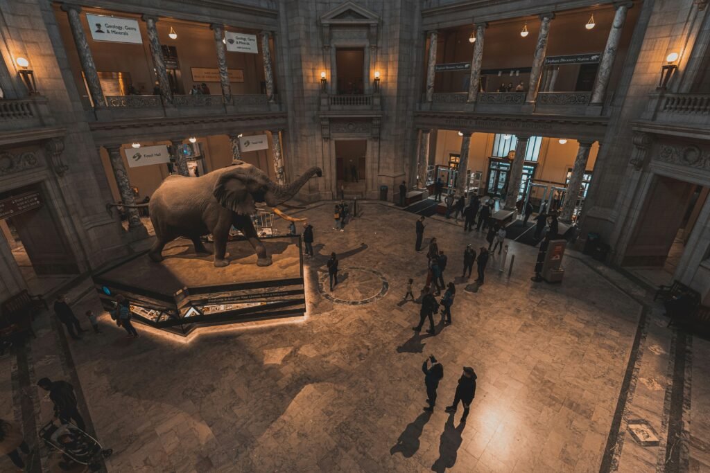 Ultimate Guide to the Smithsonian National Museum of Natural History