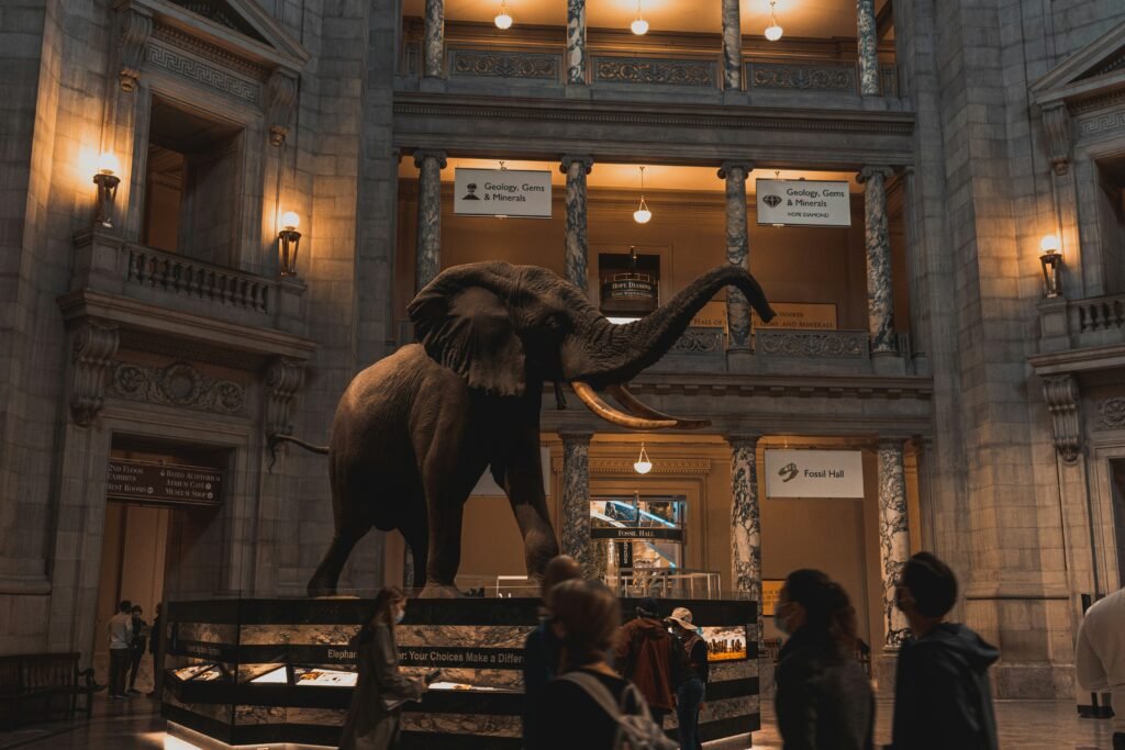 Ultimate Guide to the Smithsonian National Museum of Natural History