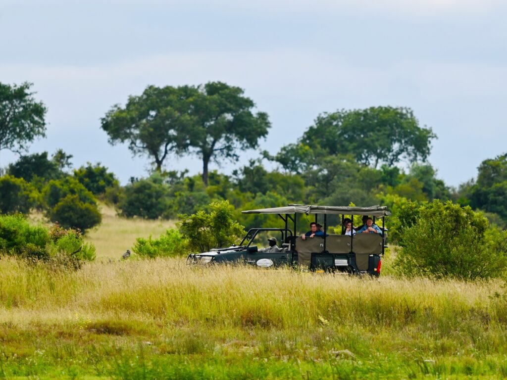 Wildlife Safari in Chitwan National Park: What You Need to Know