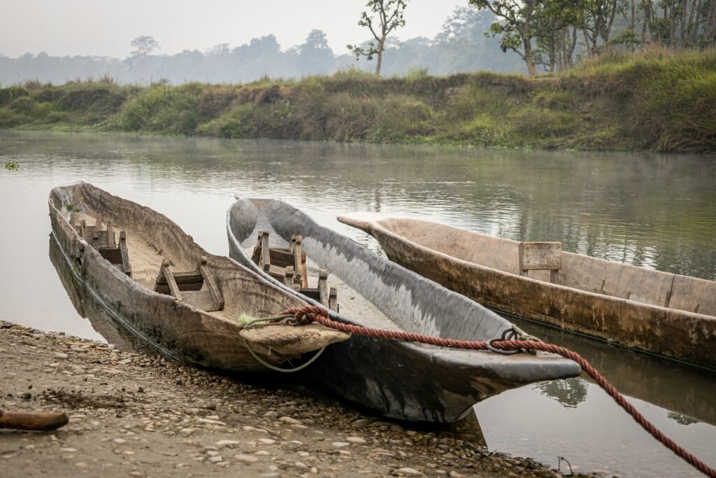 Wildlife Safari in Chitwan National Park: What You Need to Know