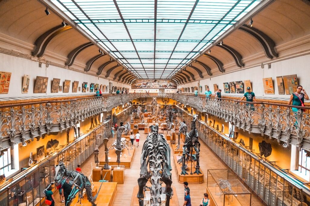 Ultimate Guide to the Smithsonian National Museum of Natural History