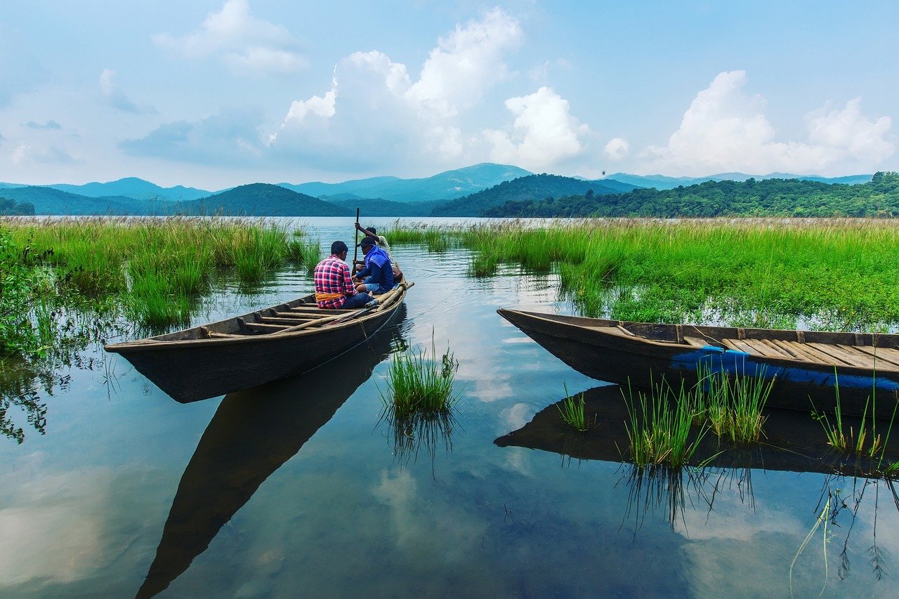 The Ultimate Guide to Araku Valley: Hidden Gems, Waterfalls, and More