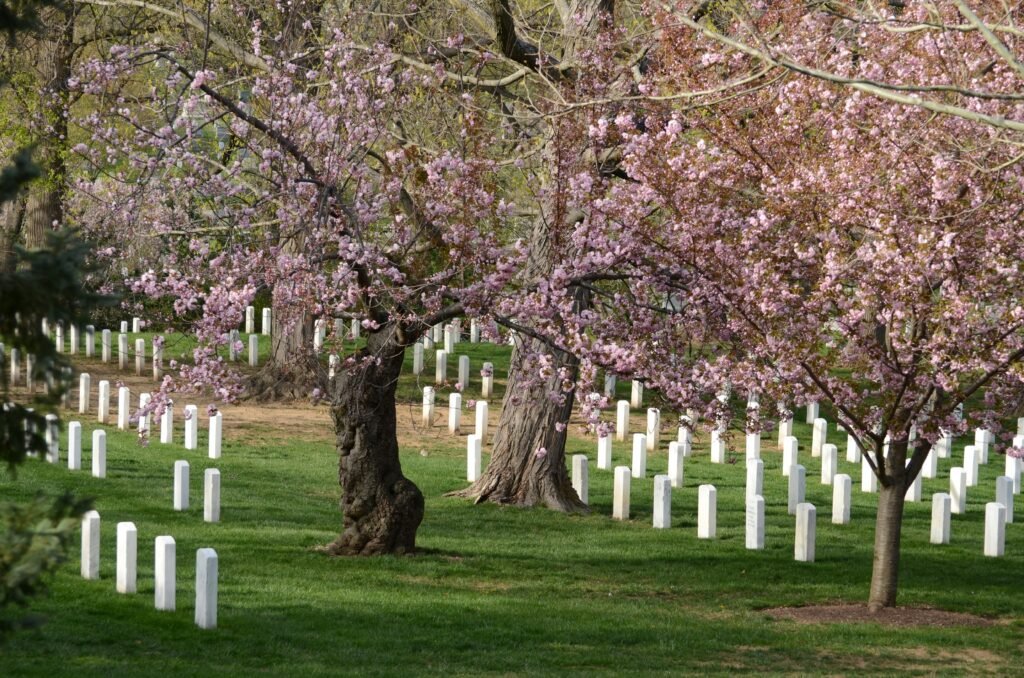 10 Fascinating Facts About Arlington National Cemetery You Need to Know